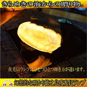 yӂ邳Ɣ[Łz`߂̊C̑蕨`ÂLv ( Cg v d CeA L V   u[VF )