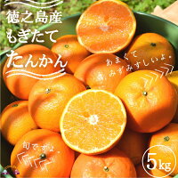 大人気の徳之島産たんかん！