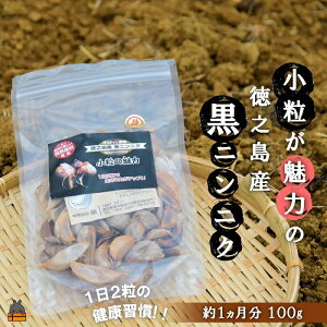 �y�ӂ邳�Ɣ[�Łz�`�������̏��������́I�`���V���Y���j���j�N(100g) ( �ɂ�ɂ� ���N�H�i ���ɂ�ɂ� ���ƍ͔| ���V�� ���� ���E���R��Y ��� ������� ���n�엿 ���S ���S ���� �f�R�`��