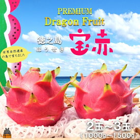 【ふるさと納税】～ルビーの輝き～プレミアムドラゴンフルーツ“徳之島宝赤（ほうせき）”（1kg～1.5kg）（ ドラゴンフルーツ 果物 フルーツ 南国 ピタヤ 太陽 美容 健康 徳之島 奄美 鹿児島 世界自然遺産 こだわり ）