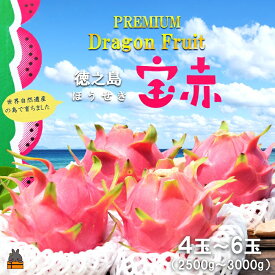 【ふるさと納税】～ルビーの輝き～プレミアムドラゴンフルーツ“徳之島宝赤（ほうせき）”（2.5kg～3kg） （ ドラゴンフルーツ 果物 フルーツ 南国 ピタヤ 太陽 美容 健康 徳之島 奄美 鹿児島 世界自然遺産 こだわり ）