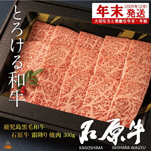 yӂ邳Ɣ[ŁzsNzItE^gƂ낯ah̐Ό ~ē300g ( јa uh  r[t  v~A IK3b_  Mtg V