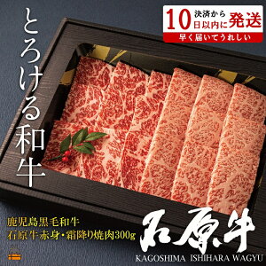 yӂ邳Ɣ[ŁzE^gƂ낯ah̐Ό ԐgE~ē300g ( јa uh  r[t  v~A IK3b_  Mtg V  