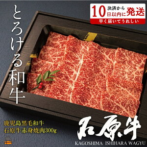 yӂ邳Ɣ[ŁzE^gƂ낯ah̐Ό Ԑgē300g ( јa uh  r[t  v~A IK3b_  Mtg V   