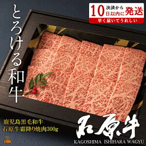 yӂ邳Ɣ[ŁzE^gƂ낯ah̐Ό ~ē300g ( јa uh  r[t  v~A IK3b_  Mtg V   