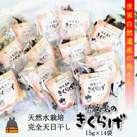 【ふるさと納税】〜コリコリ食感がたまらない〜徳之島産乾燥きくらげ（15g×14袋） ( きのこ 健康 国産 安心 安全 和食 中華料理 こりこり 料理 天然水 中華丼 汁物 具材 朝食 昼食 夕食 )