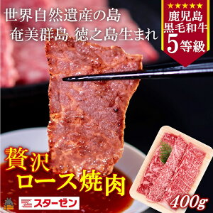 yӂ邳Ɣ[ŁzERY̓BV܂ 5 јa ґ򃍁[Xē 400g ( 5 јa  r[t  [X ē BBQ ґ  V  