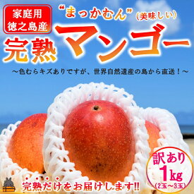 【ふるさと納税】≪先行予約≫訳あり！【家庭用】徳之島産完熟マンゴー1kg（2～3玉）( マンゴー フルーツ わけあり 訳あり 訳有 果物 完熟 無加温 徳之島 世界自然遺産 美味しい とろける 旬 贅沢 糖度 南の島 )
