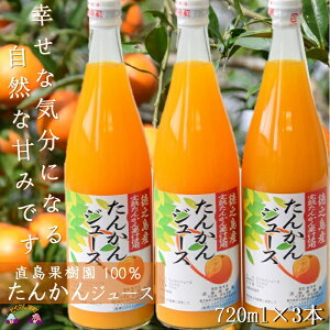 【ふるさと納税】《2025年収穫!》完熟の幸せな甘み!徳之島たんかんジュース(3本) ( たんかん タンカン 果汁 柑橘 飲み物 ドリンク ジュース 徳之島 奄美 鹿児島 美味しい 直島果樹園 )
