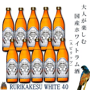 yӂ邳Ɣ[ŁzsցtlyލYzCgiXsbcjJPXzCg40xi900ml×10{ji  q[g JNe R[N Y_ bN XC[c 