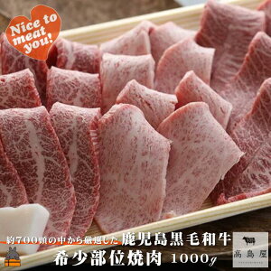 yӂ邳Ɣ[Łz700猵Iꂽ јa 󏭕ʏē 1000g ( Ԑg v C`{ N~ ~ Uug JCm~ TT~ I v~A i ē јa 
