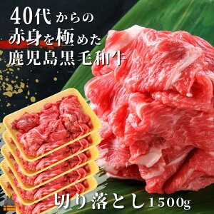 yӂ邳Ɣ[Łz40ォ̐Ԑgɂ߂јa؂藎Ƃ1500g ( I Ԑg v~A i јa јa  \  V   Ă Ԃ 