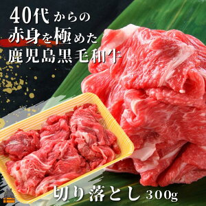 yӂ邳Ɣ[Łz40ォ̐Ԑgɂ߂јa؂藎Ƃ300g ( I Ԑg v~A i јa јa  \  V   Ă Ԃ 