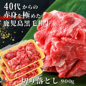 yӂ邳Ɣ[Łz40ォ̐Ԑgɂ߂јa؂藎Ƃ900g ( I Ԑg v~A i јa јa  \  V   Ă Ԃ 