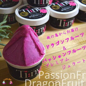楽天市場 ドラゴンフルーツ アイスクリーム シャーベット スイーツ お菓子 の通販