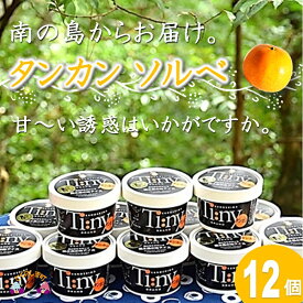 【ふるさと納税】〜南の島からお届けします〜太陽の輝き　タンカンソルベギフト ( ジェラート アイス ソルベ 12個 たんかん 柑橘 スイーツ 徳之島 奄美 鹿児島 美農里館 )