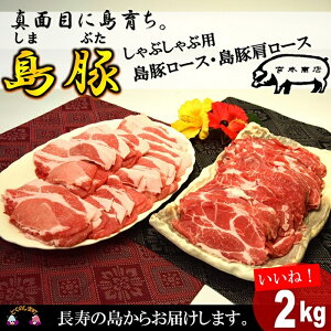 【ふるさと納税】〜真面目に島育ち〜徳之島の島豚セットE(しゃぶしゃぶ用ロースと肩ロース)