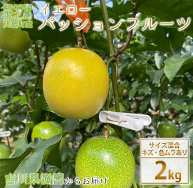 【ふるさと納税】徳之島 天城町 吉川果樹園 家庭用 イエローパッションフルーツ 約2kg パッションフルーツ 混合サイズ 送料無料 AB-37-N