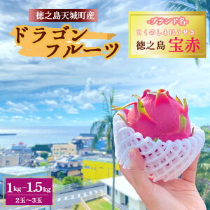 yӂ邳Ɣ[Łzy2025NzV钬Y V v~A hSt[c ԋ 1`1.5kg(2ʁ`3) gsJt[c t[c ʕ ʎ s^ yVX[p[SALE 9J