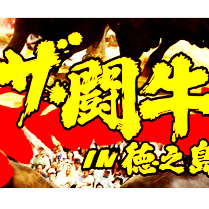   令和元年度10月開催≫徳之島伝統闘牛大会DVD