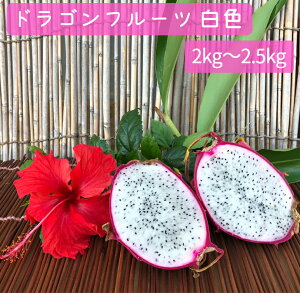 ドラゴンフルーツ 白 食品の通販 価格比較 価格 Com