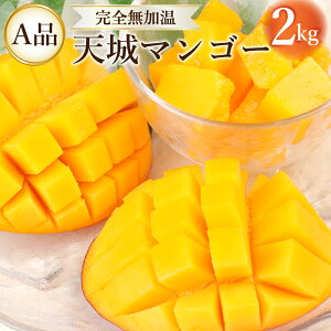 yӂ邳Ɣ[Łzy2026NzystzV V钬Y S n }S[ Ai 2kg Y  t[c gsJ