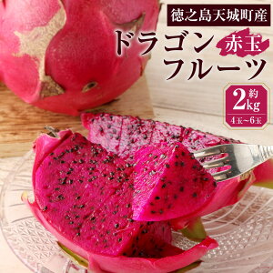 yӂ邳Ɣ[Łzy2025NzV V钬Y hSt[c ԋ 2kg 4`6 ƒp s^ 썑 t[c gsJt[c ʕ e N   AJ-4-N yVX[p