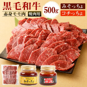 yӂ邳Ɣ[Łzјa Ԑg  ēp 500g݂ER` Zbg Ă BBQ ^  a BY Y Ⓚ V 