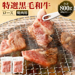 yӂ邳Ɣ[Łz Iјa [X ēp v800g (400g×2pbN) Ă  a BBQ [X BY Y Ⓚ V  Z-24 yVX[p[SALE 9J