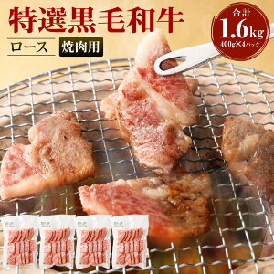 yӂ邳Ɣ[Łz Iјa [X ēp v1600g (400g×4pbN) Ă  a BBQ [X BY Y Ⓚ V  Z-25 yVX[p[SALE 9J