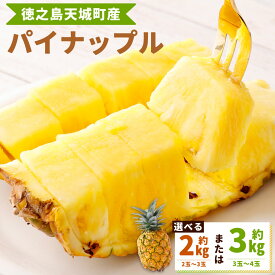 【ふるさと納税】【先行受付】徳之島 天城町産 パイナップル ＜選べる＞ 約2kg 約3kg スムースカイエン パイン フルーツ 南国 果物 くだもの 国産 九州 鹿児島 冷蔵 送料無料