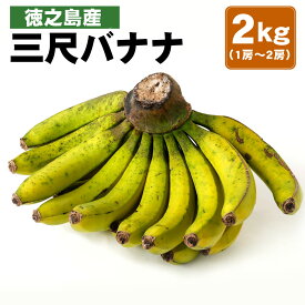 楽天市場 バナナ 産地 都道府県 鹿児島 フルーツ 果物 食品 の通販