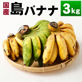 【ふるさと納税】【2026年発送】徳之島 子宝バナナ 3kg 島バナナ バナナ フルーツ 果物 南国フルーツ くだもの 国産 九州産 鹿児島県 送料無料 AL-10-N