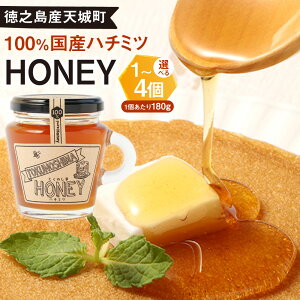 yӂ邳Ɣ[ŁzVY 100 HONEY n`~c 180g eʂIׂ遄 1`4 WႹ񂾂 nj[ ݂͂ I Y B  V钬 