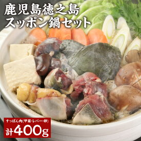 【ふるさと納税】【鹿児島徳之島】スッポン鍋セット スッポン肉 甲羅 レバー 卵 計400g スッポン生血 珍味 鍋 鍋セット レシピ同封 徳之島 鹿児島県産 九州産 国産 冷凍 送料無料 AW-1-N