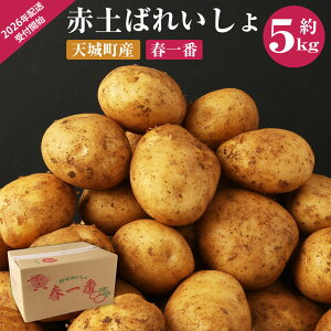 yӂ邳Ɣ[ŁzystzV V钬Y ԓy΂ꂢ VႪytԁz5kg L`2L TCY WKC Ⴊ ΂ꂢ oCV y  Y  BY 