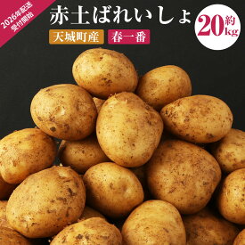 【ふるさと納税】【先行受付】徳之島 天城町産 赤土ばれいしょ 新じゃが【春一番】20kg L~2L 混合サイズ ジャガイモ じゃがいも ばれいしょ バレイショ お手軽 送料無料 国産 野菜 九州産 鹿児島県産 新じゃが 春 F-6-N