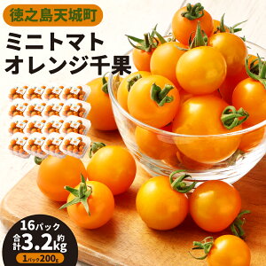 �y�ӂ邳�Ɣ[�Łz���V�� �V�钬�Y �~�j�g�}�g 200g ���p�b�N�����I�ׂ遄 4�p�b�N ���v800g 8�p�b�N ���v1.6kg 16�p�b�N ���v3.2kg �I�����W��� �g�}�g �Ƃ܂� ��� ���Y ��B �������� ��������