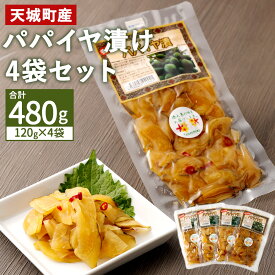 【ふるさと納税】徳之島 天城町 パパイヤ漬け 4袋セット 合計480g 郷土料理 パパイヤ 漬物 ご飯のお供 おつまみ 鹿児島県 天城町産 送料無料 C-10-N