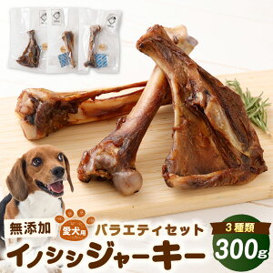 yӂ邳Ɣ[ŁzY CmVVW[L[ oGeBZbg 3 i100g×3j v300g ybgt[h p SDGs 񂱂  r p ybg hbOt[h p ELECmV