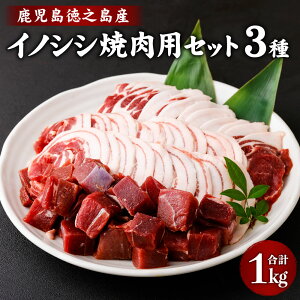 yӂ邳Ɣ[ŁzCmVVēpZbg v1kg 3 ( [XXCX oXCX  TCRJbg ) WrG CmVV ̂   XCX TCRJbg ē BBQ Ⓚ V钬Y