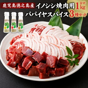 yӂ邳Ɣ[ŁzCmVVēp(1kg)  ppCXpCX(3Zbg) [XXCX oXCX  TCRJbg WrG CmVV ̂   XCX ē BBQ ppC 