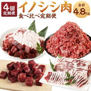 yӂ邳Ɣ[Łzy4ցzCmVV Hה  v4.8kg ~` [X TCR ē Zbg WrG CmVV    BBQ Y B V V钬  yVX[p[SALE 9