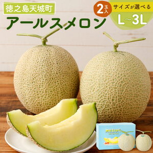 yӂ邳Ɣ[Łzys\zV V钬 A[X 2 TCYIׂ遄 L 2L 3L  }XN ʕ t[c ϔ Mtg  蕨 st gʎ 