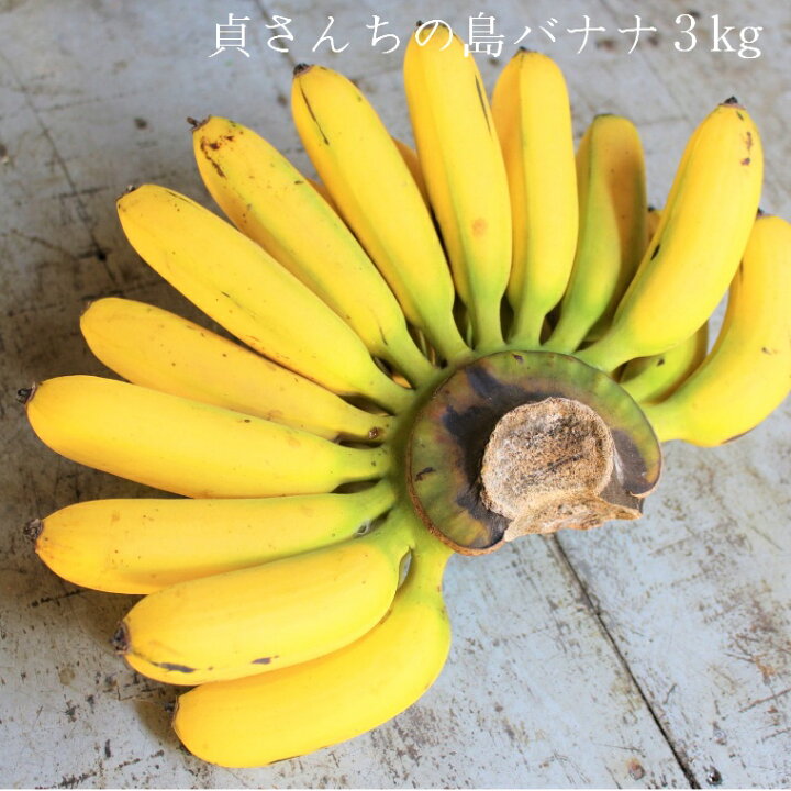 楽天市場 ふるさと納税 貞さんの島バナナ3kg 徳之島伊仙町