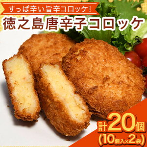 �y�ӂ邳�Ɣ[�Łz�y��s�\��! 2026�N5����{�`�����z���V�� ���h�q�R���b�P 10����×2�� �y�J�t�@�[���z�y�z���s�n��F�����z�y1427227�z