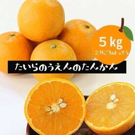 【ふるさと納税】【先行予約! 2026年2月より順次発送】 平農園のたんかん 【化粧箱】約5kg【1460243】