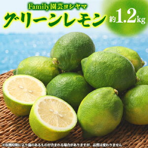 yӂ邳Ɣ[ŁzFamily|V}̃O[1.2kgy1469859z