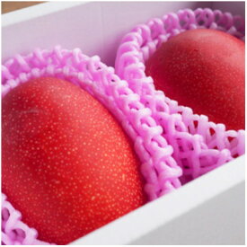 【ふるさと納税】先行予約!2026年7月発送 徳之島 伊仙町 盛農園より徳之島マンゴー 約1kgをお届け!【化粧箱】【配送不可地域：離島】【1535573】