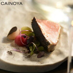 yӂ邳Ɣ[Łzys n Cmx[eBuzCAINOYA VR ɐ咬 gastronomyyA`Pbgy1670941z